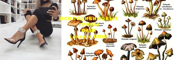 мдма Корсаков